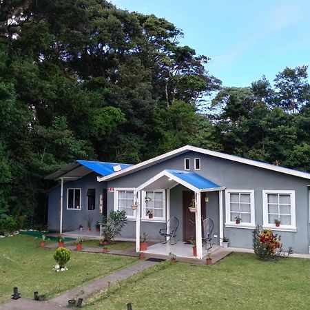 הוילה מונטה ורדה Lissadell Country House מראה חיצוני תמונה